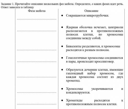 написать названия фаз мейоза​