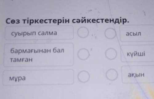 Сөз тіркестерін сәйкестендір. суырып салма О Oасылбармағынан балО)тамғанкүйшімұраГОаЫН​