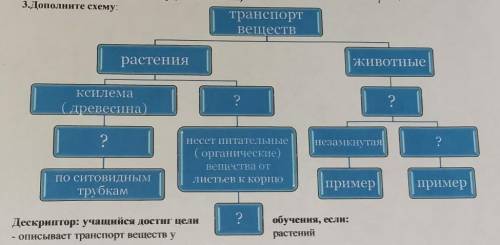 заполните схему на картинке:​