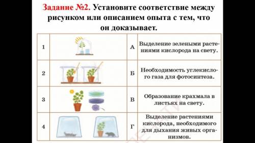 Задание №2. Установите соответствие опыт с рисунком или описанием он доказывает. Выбор зеленых расте