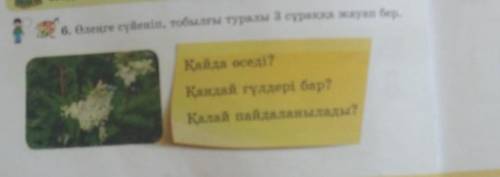 6. Өлеңге сүйеніп, тобылғы туралы 3 сұраққа жауап бер. Қайда өседі?Қандай гүлдері бар?Қалай пайдалан