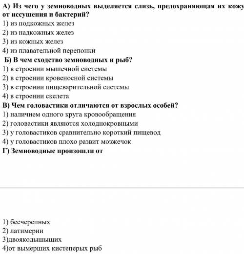 Привет, решите просто напишите вариант ответа, да, я знаю что это довольно легко, но сейчас нет врем