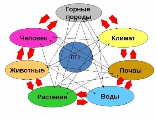 1. Что такое ПТК 2.Что такое природный комплекс 3.Назовите компоненты природного комплекса реки Ирты