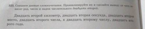 323. Спишите данные словосочетания. Проанализируйте их и сделайте вывод: от чего за висят род, число