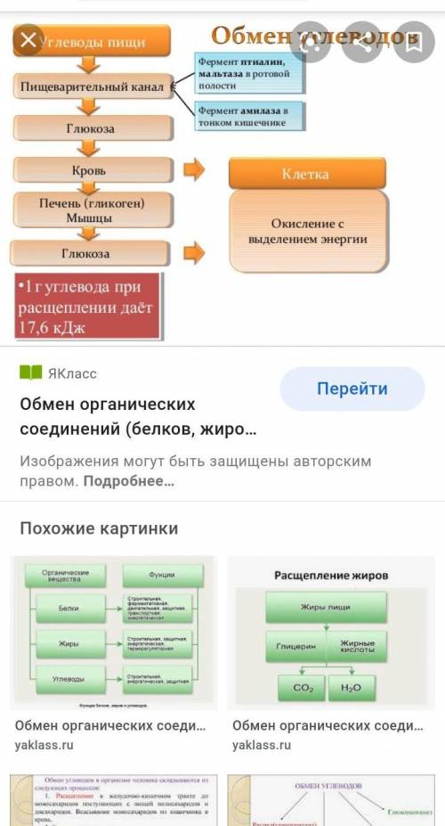 Схема обмена водыпо типу фото можете взять фотографию из интернета​