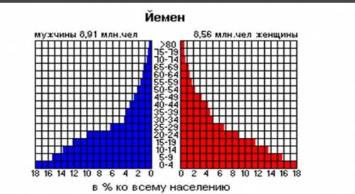 План описания половозрастной пирамиды. 1.Преобладание возрастных групп. 2.Общая продолжительность жи