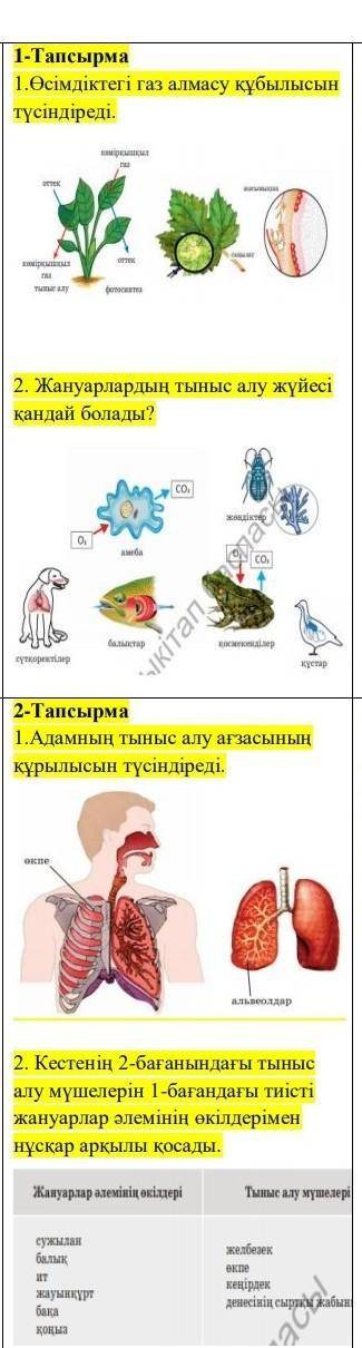 Комектесіңдерші 6Сынып Жаратылыстану ​