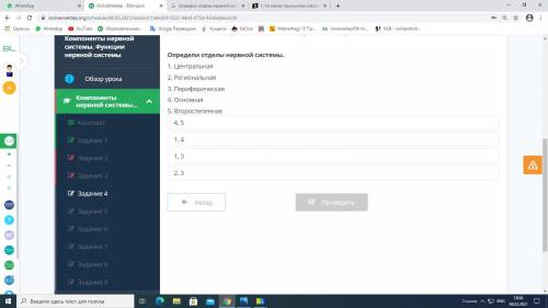 Определи отделы нервной системы 1.Центральная 2.Региональная 3.Периферическая 4.Основная 5.Второ
