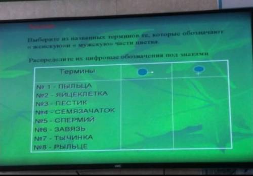 задание ! выберите из важных терминов те которые обозначают женскую и мужскую части цветка