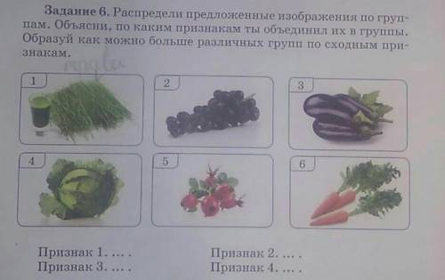 Задание 6. Распредели предложенные изображения по группам. Объясни, по каким признакам ты объединил