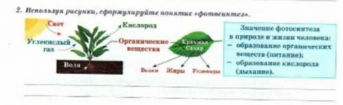 Используя рисунок сформулировать понятие фотосинтез ​