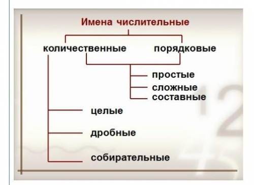 Обоих (учеников) обоих - какое числительное(количественное или порядковое)(если колич. то целое, дро