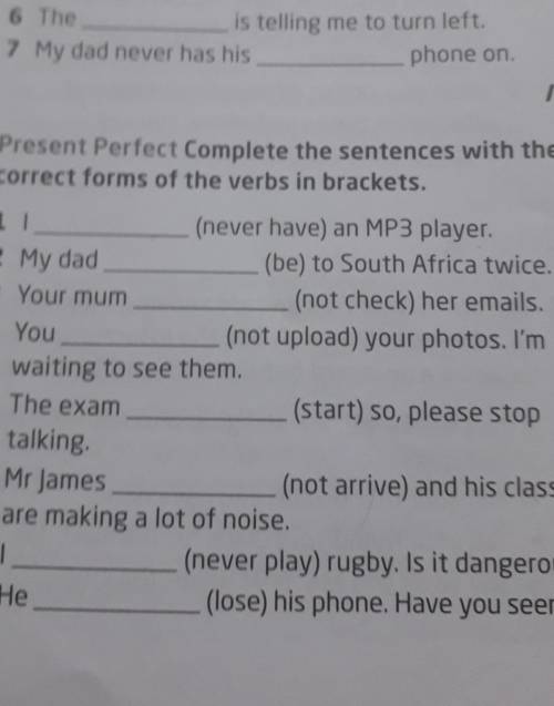 Present Perfect Complete The sentences with the correct forms of the verbs in brackets​