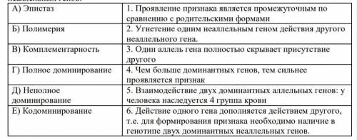 1. Установите соответствие для каждого из вариантов взаимодействия аллельных и неаллельных генов: