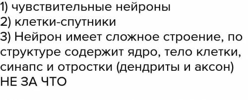 Какие клетки составляют нервную ткань? А. Клетки эпителиальной ткани Б. Клетки-спутники В. Клетки со