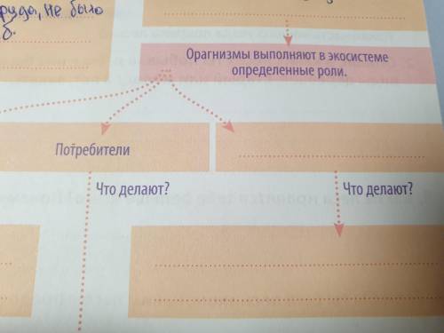 Какую роль выполняют в экосистеме организмы?