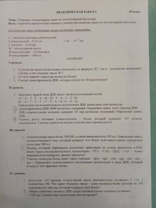 Практическая работа, 10 класс, решение элементарных задач по биологии решить задачи 1,2,3,4 уровня