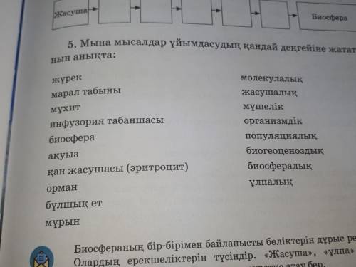 не говорите не понял по казахски говори