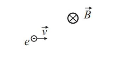 Электрон влетает в однородное магнитное поле перпендикулярно линиям индукции со скоростью v. Укажите