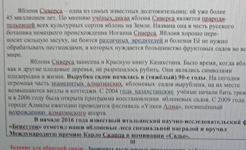 Задание для обратной связи Запишне выделенные предложения, найдите и подчеркните в Hих грамматическу