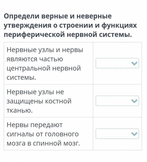 Определи верные и неверные утверждения о строении и функциях периферической нервной системы. Нервные