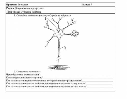 Биология ФО 1 и 2 задание