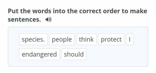 Put the words into the correct order to make sentences ​