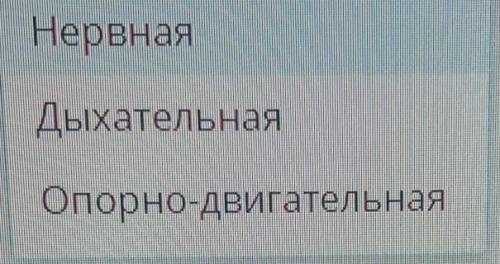 система - это система, которая воспринемает различные раздражители и реагируют на них​