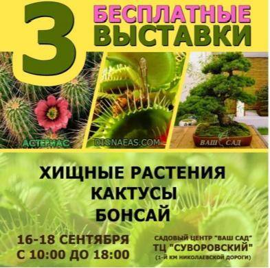 I. Спишите предложения, вставьте пропущенные буквы, расставьте недостающие знаки препинания, раскрой