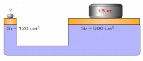По рисунку определите вес шарика​