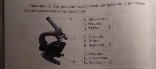 Задание 2. На рисунке изображен микроскоп. Правильно укажи компоненты микроскопа.A АА. Объектив.Б. О