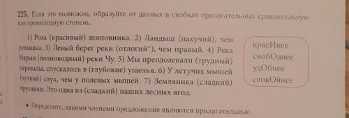 только сделайте:Определите, какими членами предложения являются прилагательные. И всё остальное не н