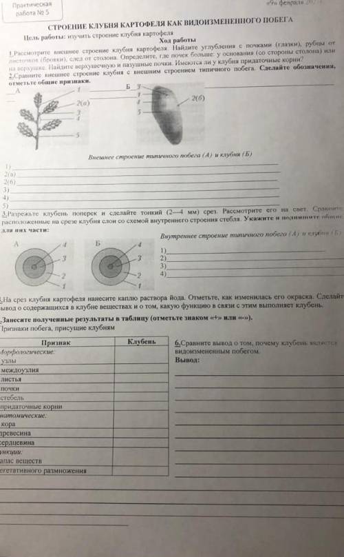 с биологией(простите что обрезано​