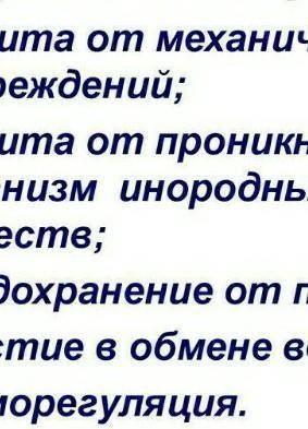 :))) Задание 1. Какие функции выполняют покровы тела? Задание 2. Что такое кутикула? В чем ее значен