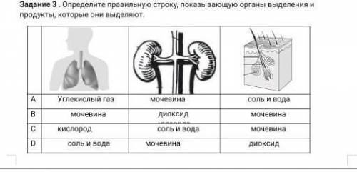 Выдели паяльную показывающую организма выделение и продукты которые они выделяют​