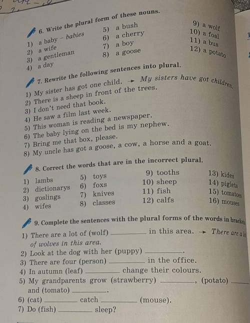 сделайте все ех 6,ех7, ех8,ех9.​