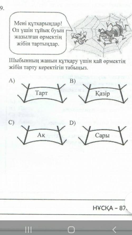 Шыбынның жанын құтұару үшін қай өрмектің жібін табу керектігін табыңыз​