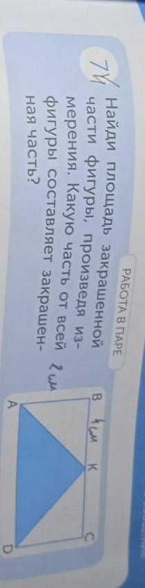 РАБОТА В ПАРЕ 74Найди площадь закрашеннойв олчасти фигуры, произведя из-мерения. Какую часть от всей