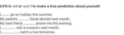 3.Fill in will or won't to make a true prediction about yourself. I go on holiday this summer.My par