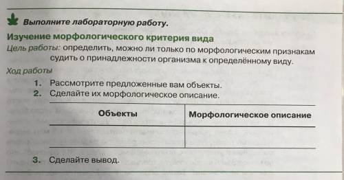 сделать лабораторную работа (в объекты не брать: утка и селезень, заяц-беляк и заяц-русак)/ (Подсказ