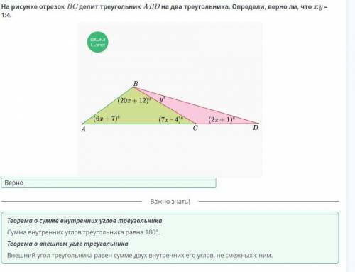 На рисунке отрезок BC делит треугольник ABD на два треугольника. Определи, верно ли, что x:y = 1:4.