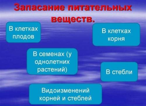 Как происходит и где происходит запасание питательных веществ?​