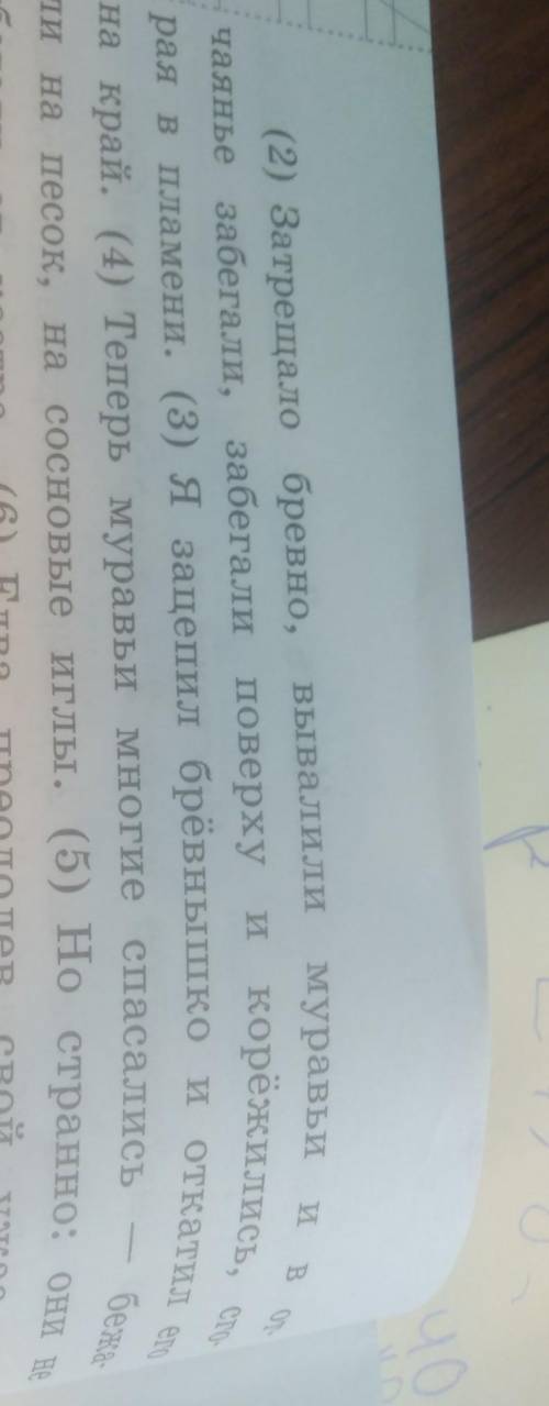 14) Выпиши из предложения 3 все глаголы в той форме,которой они стоят в предложении.ответ:​