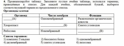 4. Проанализируйте таблицу. Заполните пустые ячейки таблицы, используя термины, приведённые в списке