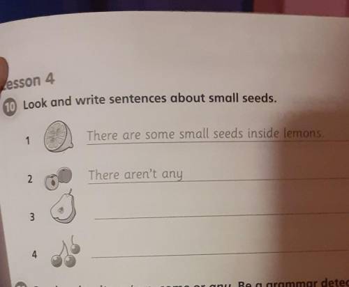 Lesson 4 10 Look and write sentences about small seeds.There are some small seeds inside lemons.1The