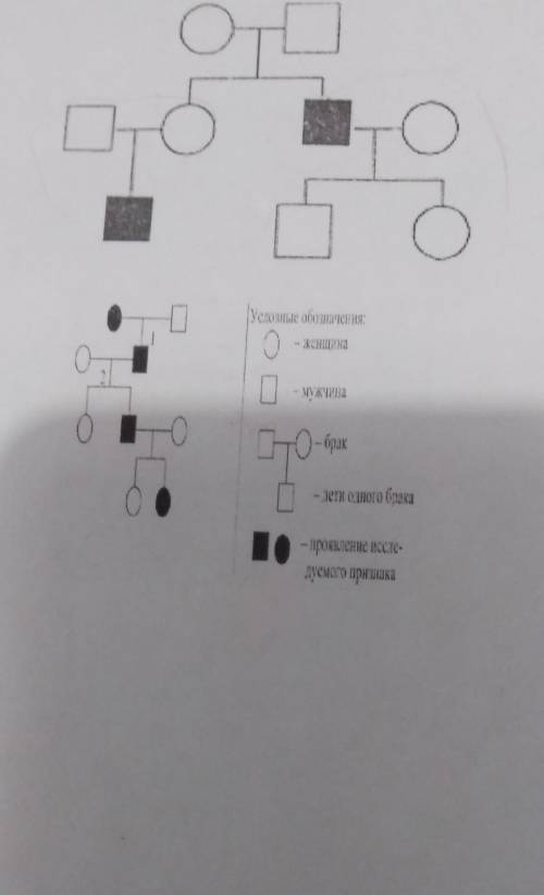 Оноор ennen he proye роде признака (доминантный, рецессивный, сцеплен или не сцеплен с полом).обозна