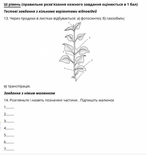 с практичная работа очень нужна времени почти нет