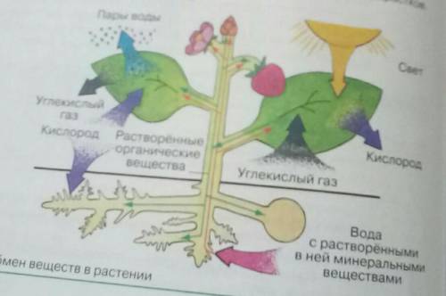 ; Описание каждого 1.2.3.4 название, описание этого ​