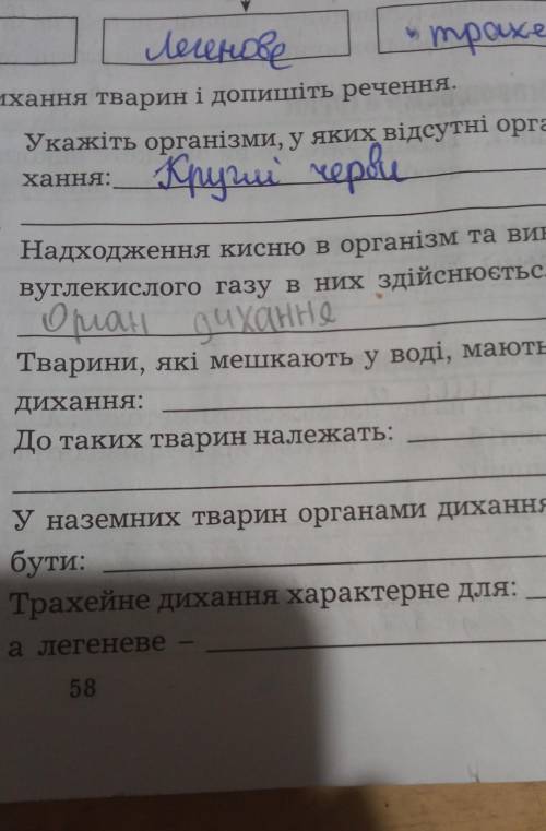 На 6 вопросов.Вроде лёгкие вопросы.Но надо сделать​