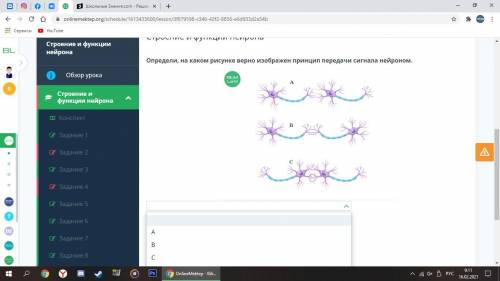 Строение и функции нейрона определи на каком рисунке верно изображен принцип передачи сигнала нейрон